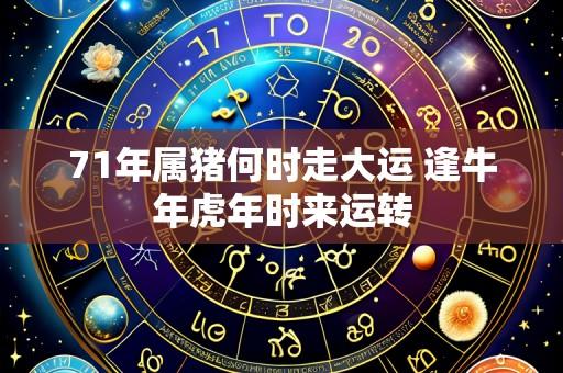 71年属猪何时走大运 逢牛年虎年时来运转
