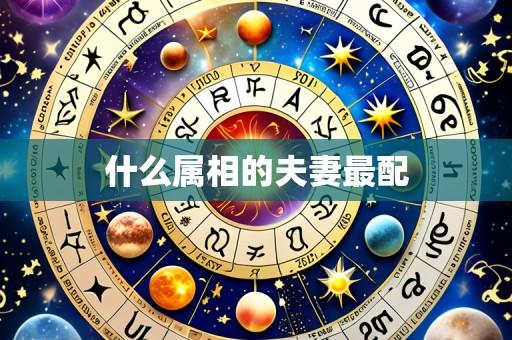 什么属相的夫妻最配