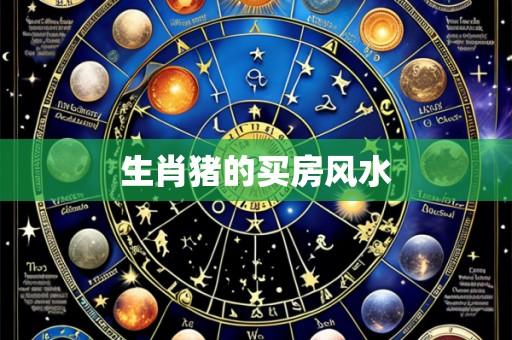 生肖猪的买房风水
