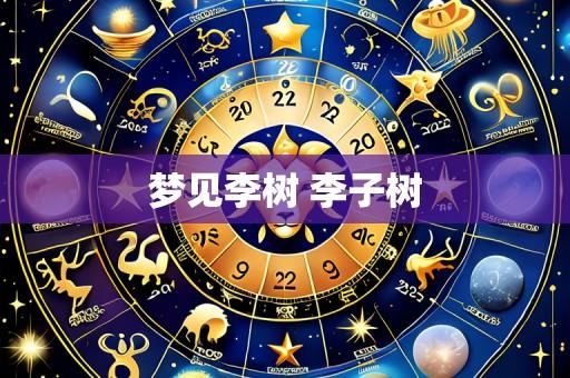 梦见李树 李子树