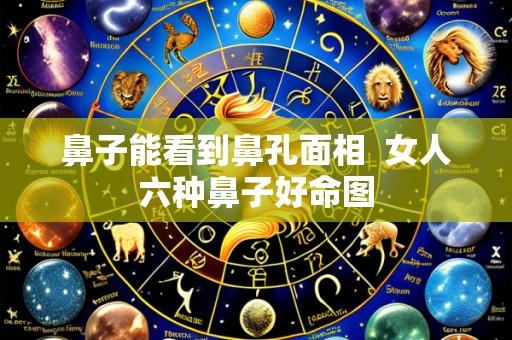 鼻子能看到鼻孔面相 女人六种鼻子好命图