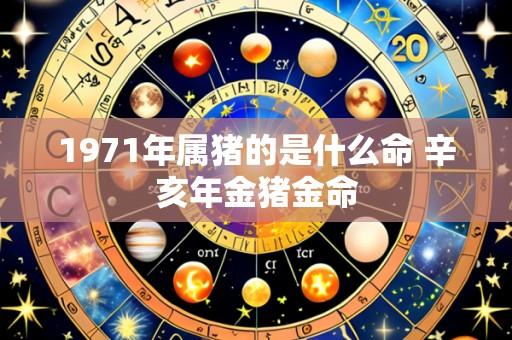1971年属猪的是什么命 辛亥年金猪金命
