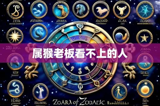 属猴老板看不上的人