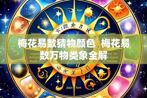 梅花易数猜物颜色 梅花易数万物类象全解