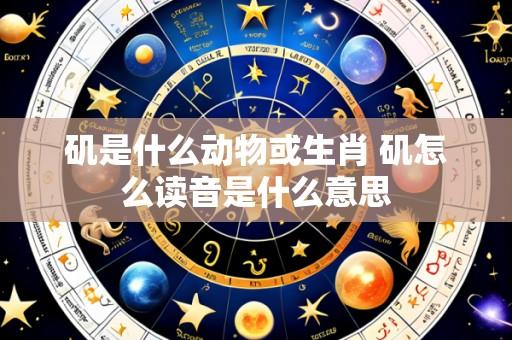矶是什么动物或生肖 矶怎么读音是什么意思