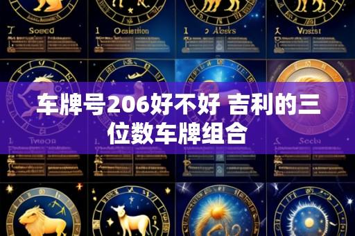 车牌号206好不好 吉利的三位数车牌组合