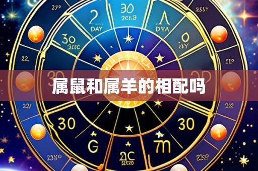 属鼠和属羊的相配吗