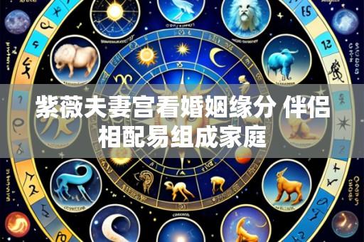 紫薇夫妻宫看婚姻缘分 伴侣相配易组成家庭