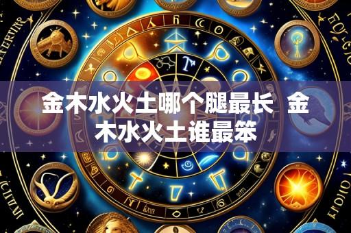 金木水火土哪个腿最长 金木水火土谁最笨