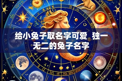 给小兔子取名字可爱  独一无二的兔子名字