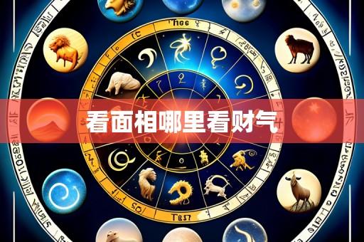 看面相哪里看财气