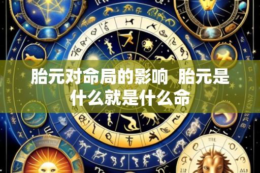胎元对命局的影响 胎元是什么就是什么命