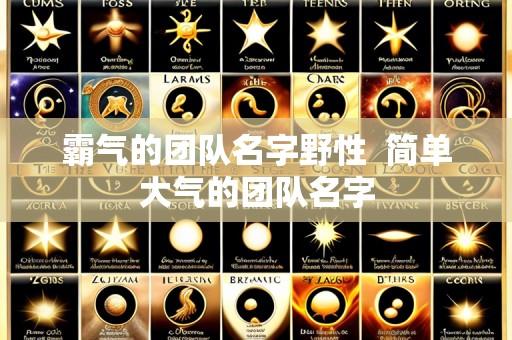 霸气的团队名字野性 简单大气的团队名字