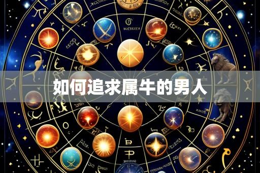如何追求属牛的男人