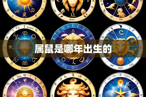 属鼠是哪年出生的