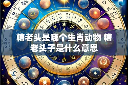 糟老头是哪个生肖动物 糟老头子是什么意思