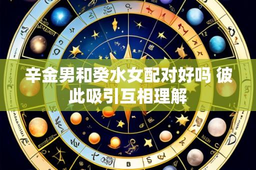 辛金男和癸水女配对好吗 彼此吸引互相理解
