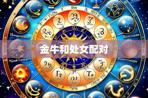 金牛和处女配对