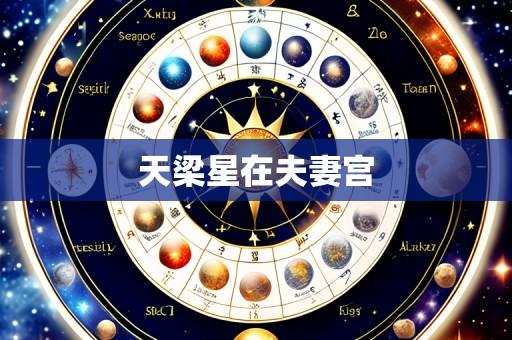 天梁星在夫妻宫