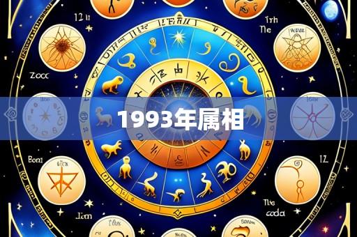 1993年属相