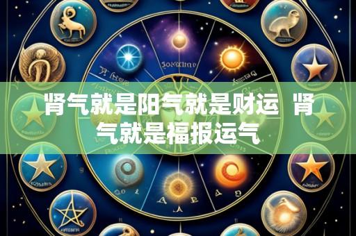 肾气就是阳气就是财运 肾气就是福报运气