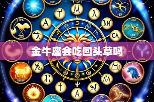 金牛座会吃回头草吗