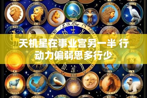 天机星在事业宫另一半 行动力偏弱思多行少