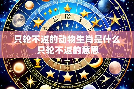 只轮不返的动物生肖是什么 只轮不返的意思
