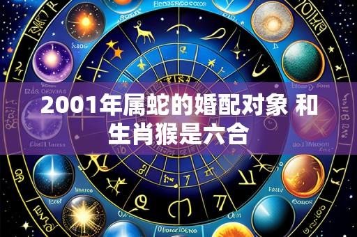 2001年属蛇的婚配对象 和生肖猴是六合