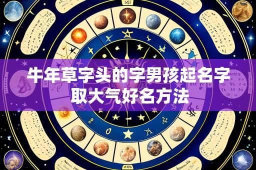 牛年草字头的字男孩起名字 取大气好名方法