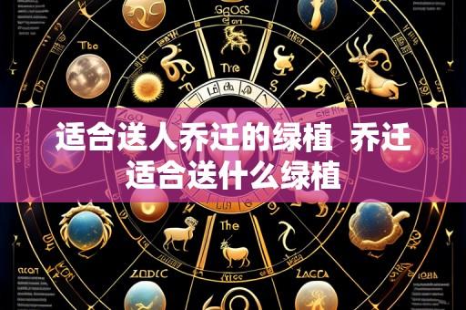 适合送人乔迁的绿植 乔迁适合送什么绿植