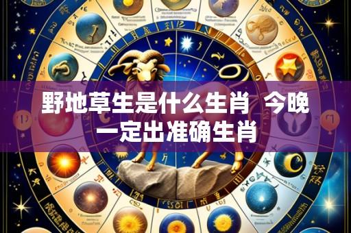 野地草生是什么生肖 今晚一定出准确生肖