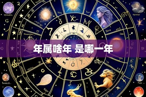 年属啥年 是哪一年