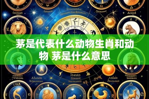 茅是代表什么动物生肖和动物 茅是什么意思