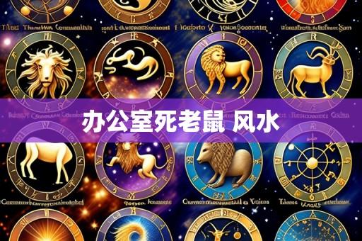 办公室死老鼠 风水