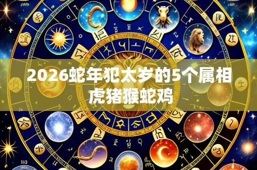2026蛇年犯太岁的5个属相 虎猪猴蛇鸡