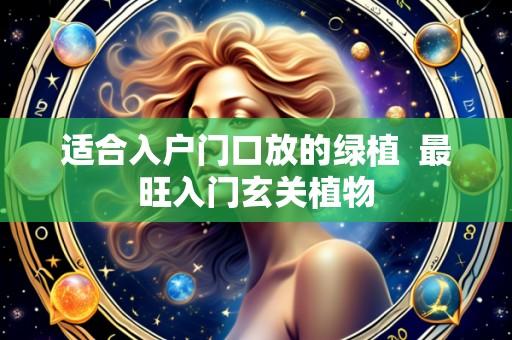 适合入户门口放的绿植 最旺入门玄关植物