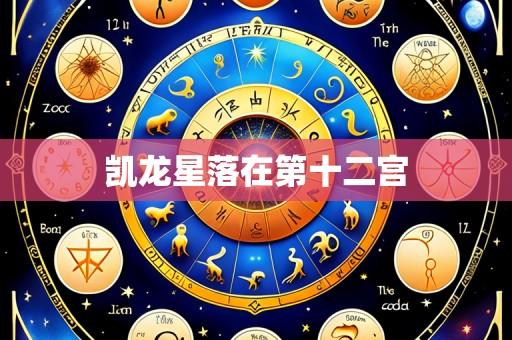 凯龙星落在第十二宫