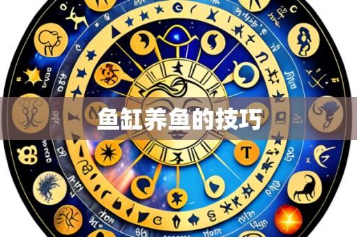鱼缸养鱼的技巧