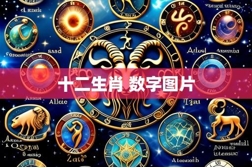 十二生肖 数字图片