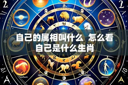 自己的属相叫什么 怎么看自己是什么生肖