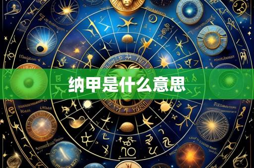 纳甲是什么意思