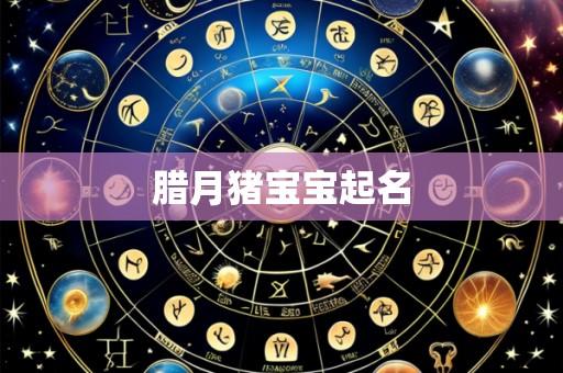 腊月猪宝宝起名