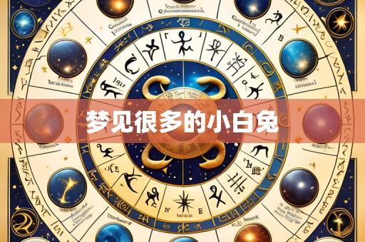 梦见很多的小白兔