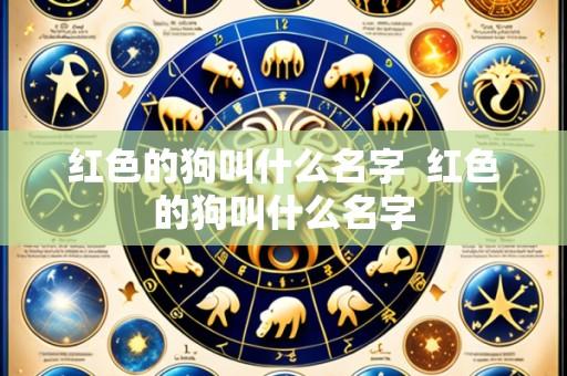 红色的狗叫什么名字 红色的狗叫什么名字