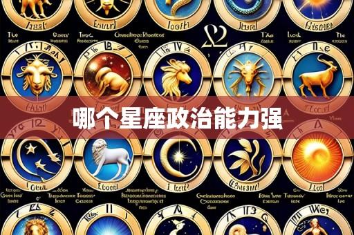哪个星座政治能力强