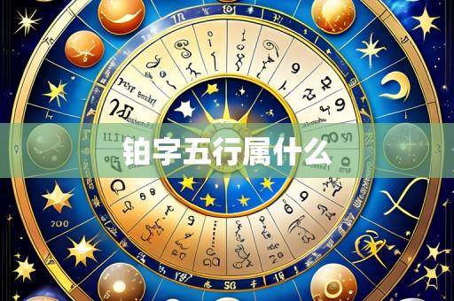 铂字五行属什么