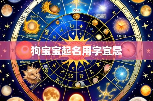 狗宝宝起名用字宜忌