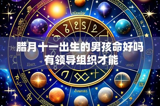 腊月十一出生的男孩命好吗 有领导组织才能