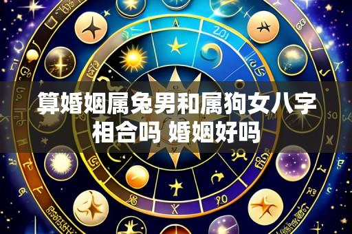 算婚姻属兔男和属狗女八字相合吗 婚姻好吗
